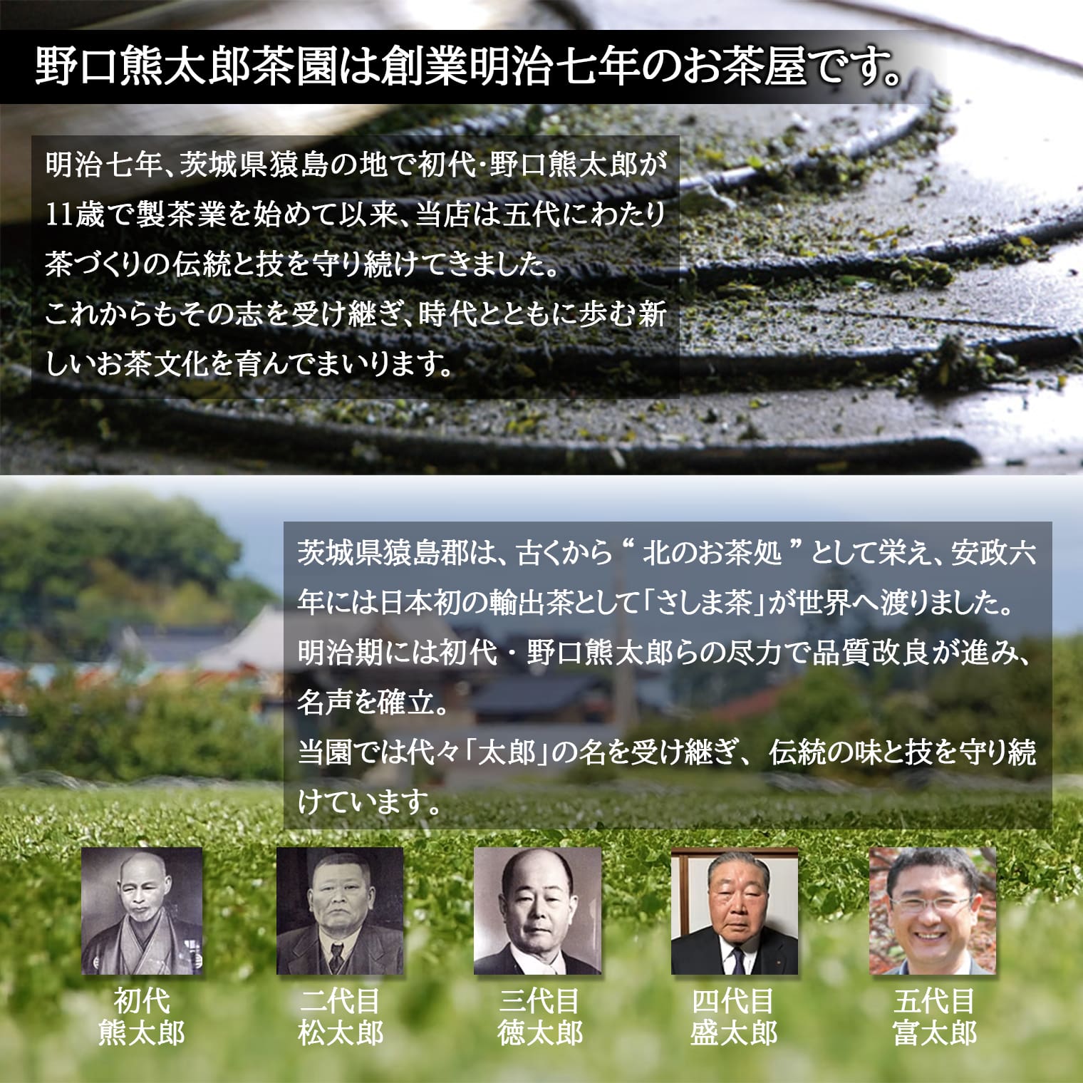 【ふるさと納税】お茶 粉茶 飲料 手軽 緑茶 玄米茶 ほうじ茶 創業明治7年 野口徳太郎商店 たね茶3種セット さしま茶 サムネイル2