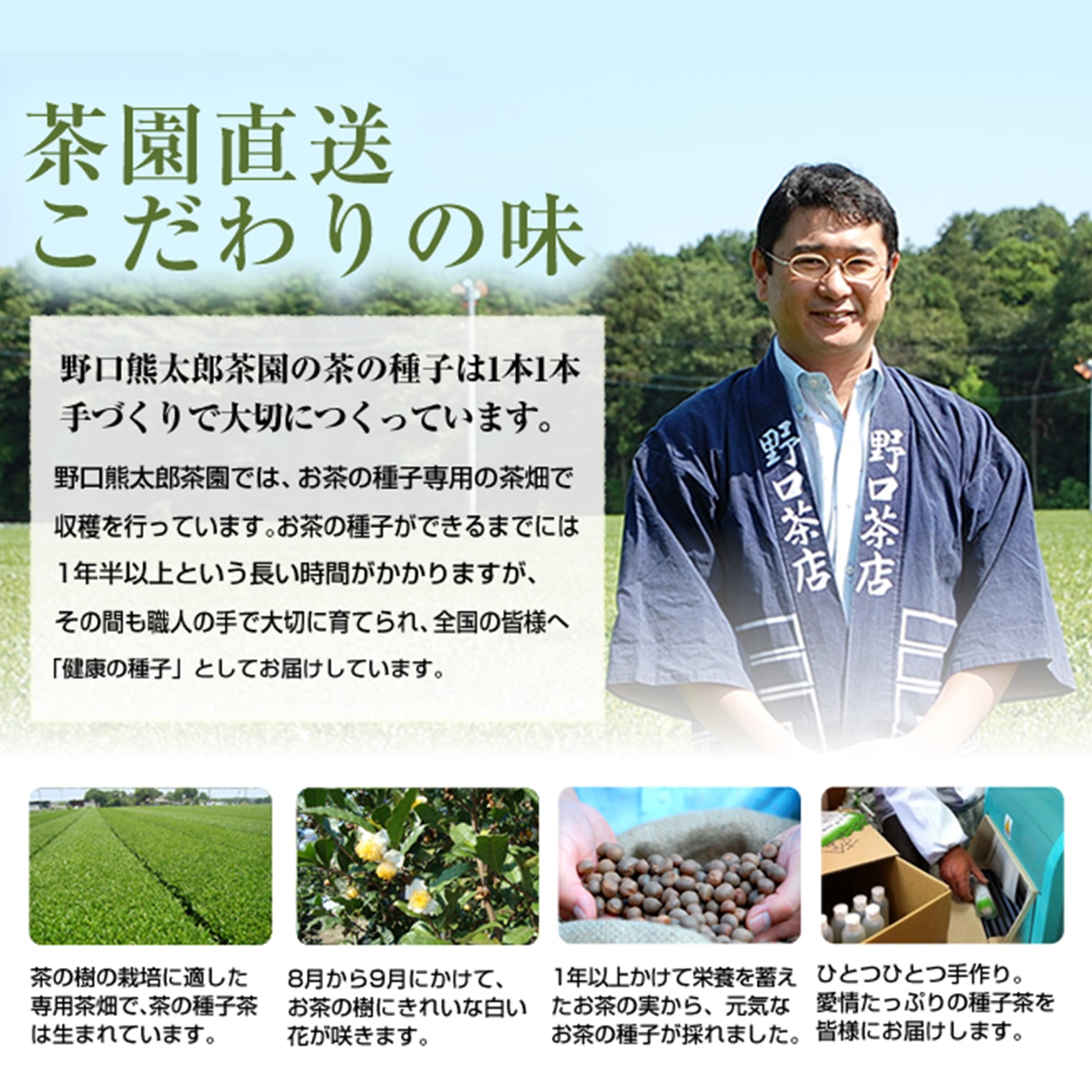 【ふるさと納税】お茶 粉茶 飲料 手軽 緑茶 玄米茶 ほうじ茶 創業明治7年 野口徳太郎商店 たね茶3種セット さしま茶 サムネイル3