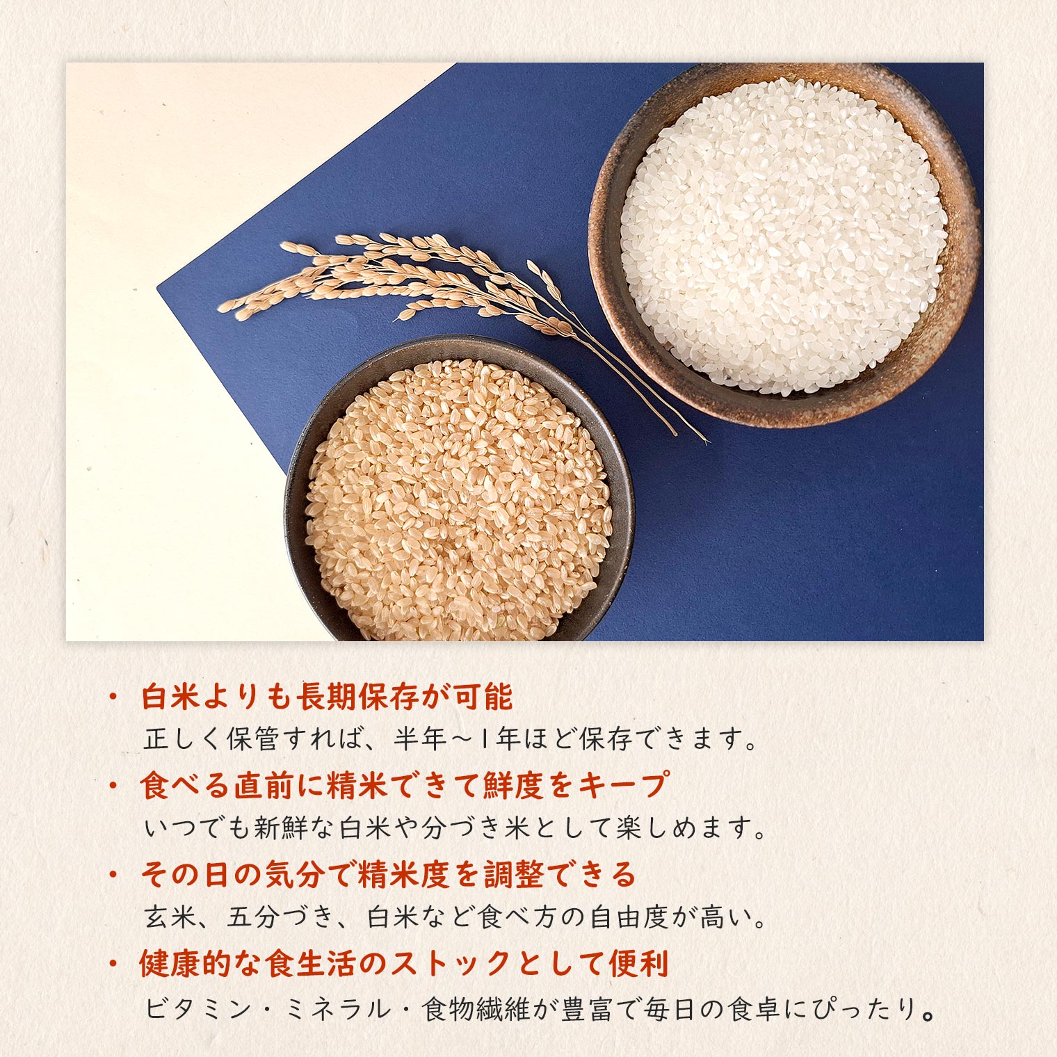 【ふるさと納税】【令和7年産】境町こだわり玄米 「コシヒカリ」 30kg 国産 米 茨城県 大容量 - 画像3