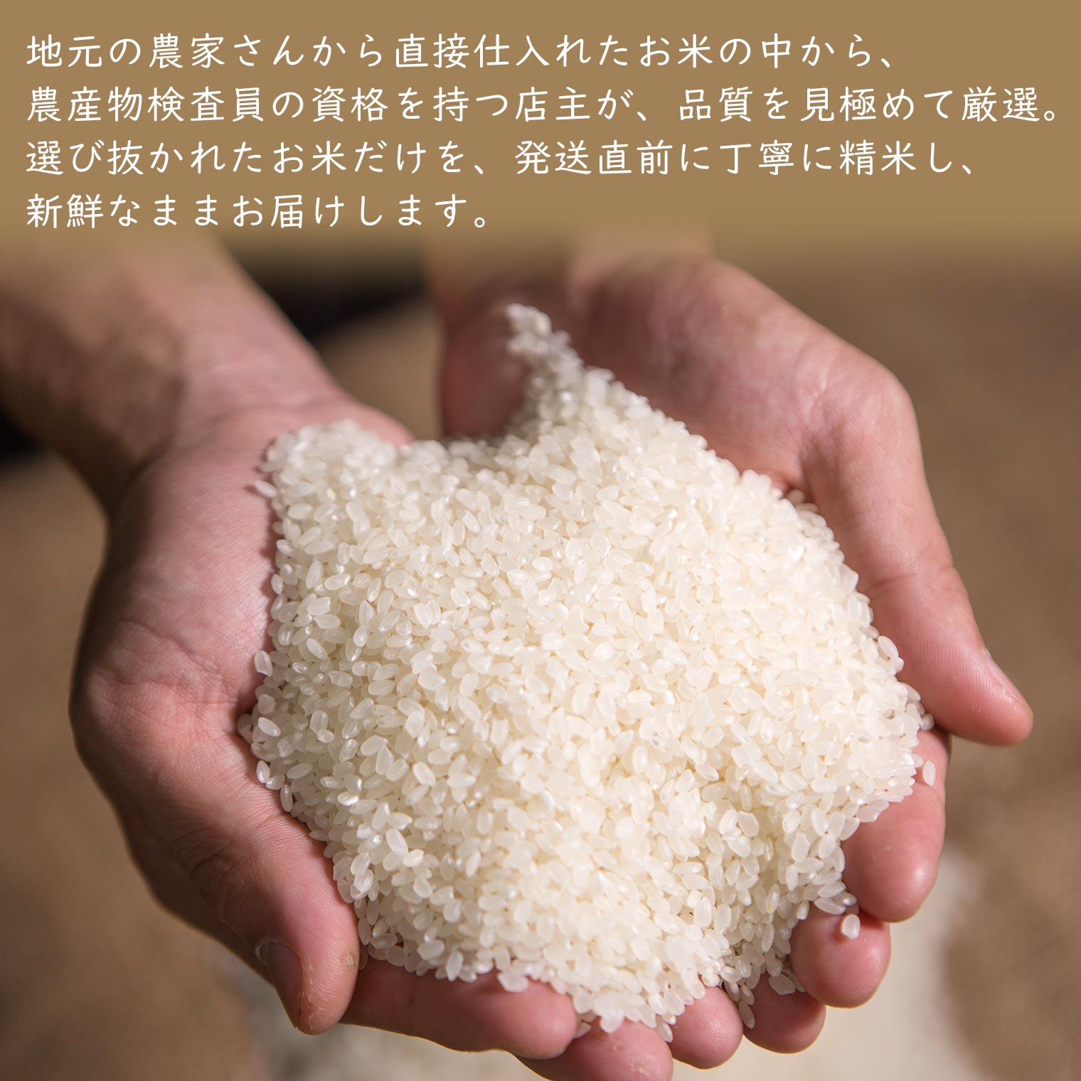 【ふるさと納税】【数量限定】 令和7年産 境町 白米 「コシヒカリ」 20kg(10kg×2袋) | 米 2025年産 茨城県産 - 画像2