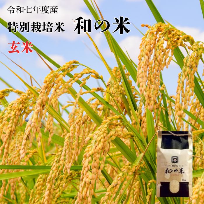 《 令和7年産 》和の米　「酵素米」　玄米　5kg　10kg ／ 米 こめ コメ お米 おこめ コシヒカリ こしひかり 和の米 酵素米 特別栽培認証 玄米 ごはん ご飯 令和7年産 5kg 10kg 定期便 茨城県 利根町 送料無料
