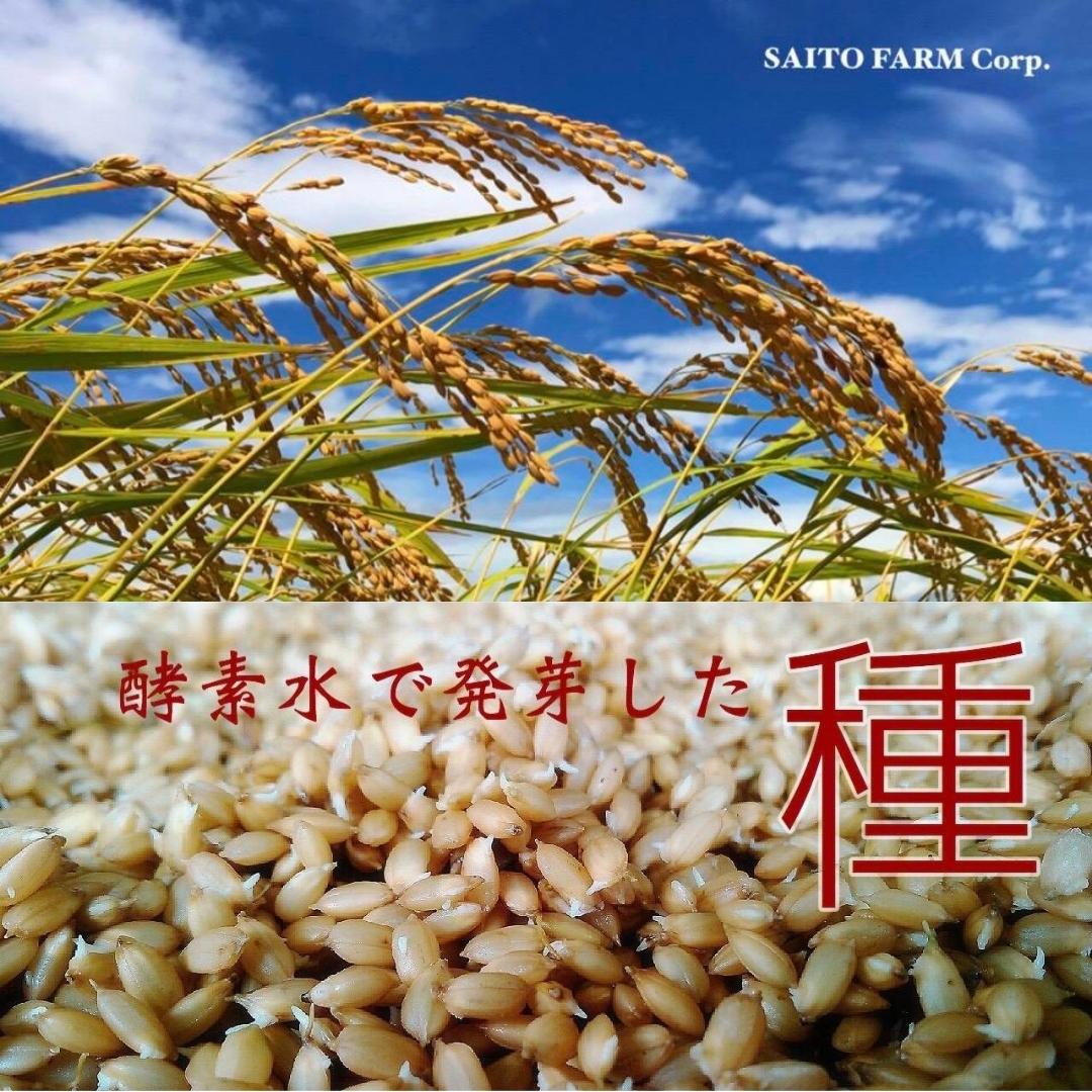 【ふるさと納税】《 令和7年産 》和の米　「酵素米」　玄米　5kg　10kg ／ 米 こめ コメ お米 おこめ コシヒカリ こしひかり 和の米 酵素米 特別栽培認証 玄米 ごはん ご飯 令和7年産 5kg 10kg 定期便 茨城県 利根町 送料無料 - 画像2