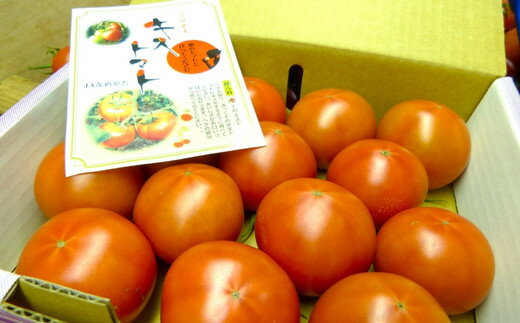 【ふるさと納税】 キストマト 12個～25個入 1箱 or 2箱 （茨城県共通返礼品／行方市産） ／ キストマト トマト フルーツトマト 野菜 - 画像2