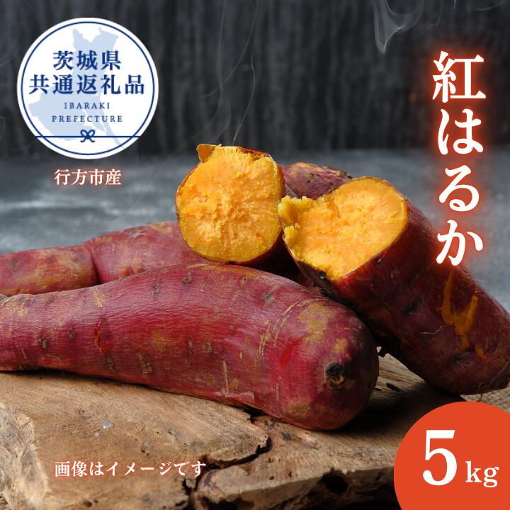 さつまいも「紅はるか」約5kg（2025年産）（茨城県共通返礼品・行方市産） ／ さつまいも さつま芋 サツマイモ 薩摩芋 甘薯 紅はるか 5kg 野菜 茨城県 送料無料