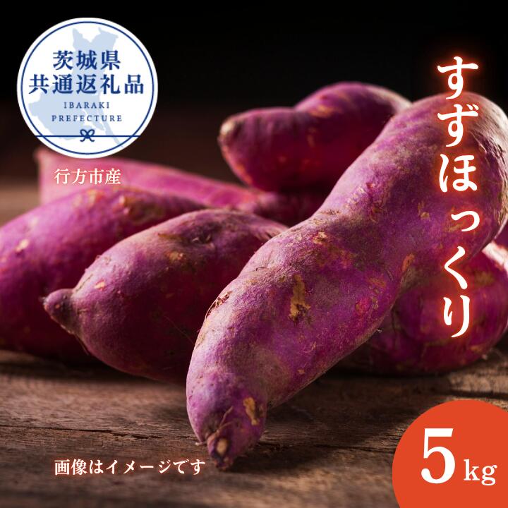 さつまいも「すずほっくり」約5kg（2025年産）（茨城県共通返礼品・行方市産） ／ さつまいも さつま芋 サツマイモ 薩摩芋 甘薯 すずほっくり 5kg 野菜 茨城県 送料無料