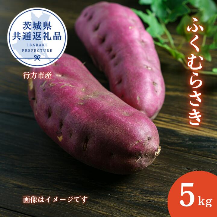 さつまいも「ふくむらさき」約5kg（2025年産）（茨城県共通返礼品・行方市産） ／ さつまいも さつま芋 サツマイモ 薩摩芋 甘薯 ふくむらさき 紅芋 5kg 野菜 茨城県 送料無料