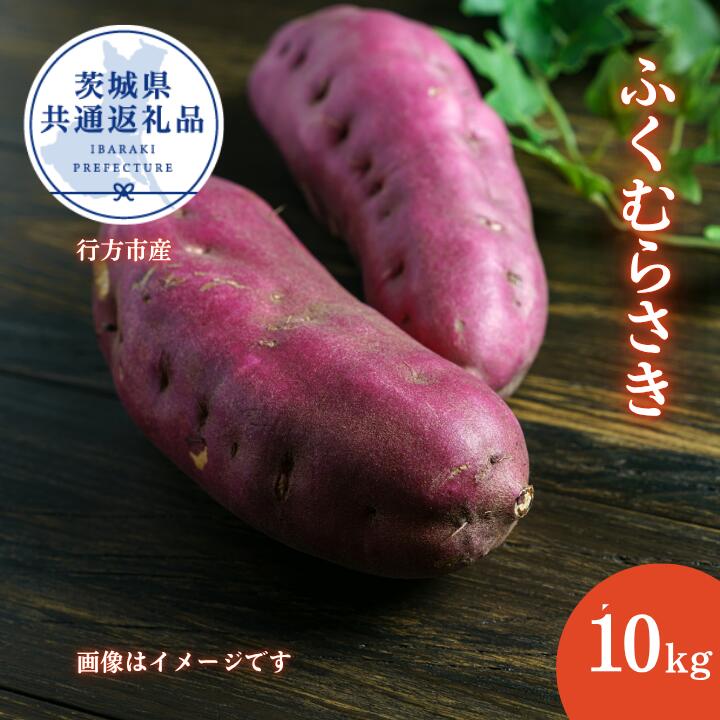 さつまいも「ふくむらさき」約10kg（2025年産）（茨城県共通返礼品・行方市産） ／ さつまいも さつま芋 サツマイモ 薩摩芋 甘薯 ふくむらさき 紅芋 10kg 野菜 茨城県 送料無料