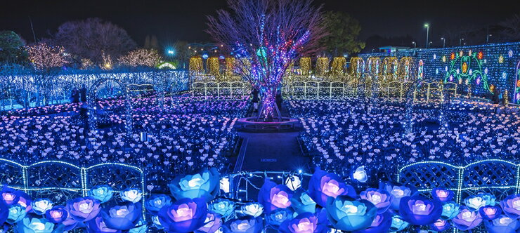 【ふるさと納税】あしかがフラワーパーク入園券（2枚）+オリジナルグッズ【入場券 入園券 フラワーパーク イルミネーション 日本三大イルミネーション 夜景 栃木県 足利市 】 F7Z-751 サムネイル2