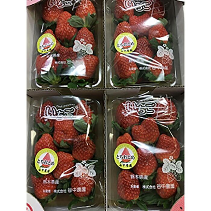 【ふるさと納税】【2025年12月下旬～発送】「甘みと酸味の競演 谷中農園のとちおとめ」いちご【約270g×4パック】| 果物 フルーツ いちご 栃木 ブランド 栃木県【フルーツ 果物 くだもの 食品 人気 おすすめ 】 | 苺 とちおとめ フルーツ 期間限定 数量限定 栃木県 栃木市 サムネイル3