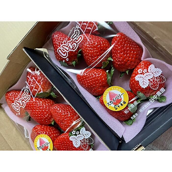 【2025年12月下旬～発送】「口いっぱいに溢れる甘い果汁 谷中農園の スカイベリー 」いちご【約280g×2パック】| 果物 フルーツ いちご 栃木 ブランド 栃木県【フルーツ 果物 くだもの 食品 人気 おすすめ 】