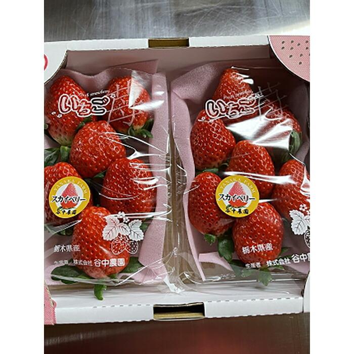 【ふるさと納税】【2025年12月下旬～発送】「口いっぱいに溢れる甘い果汁 谷中農園の スカイベリー 」いちご【約280g×2パック】| 果物 フルーツ いちご 栃木 ブランド 栃木県【フルーツ 果物 くだもの 食品 人気 おすすめ 】 サムネイル2
