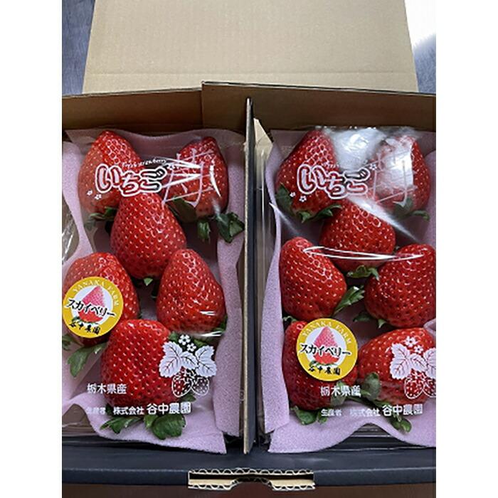 【ふるさと納税】【2025年12月下旬～発送】「口いっぱいに溢れる甘い果汁 谷中農園の スカイベリー 」いちご【約280g×2パック】| 果物 フルーツ いちご 栃木 ブランド 栃木県【フルーツ 果物 くだもの 食品 人気 おすすめ 】 サムネイル3