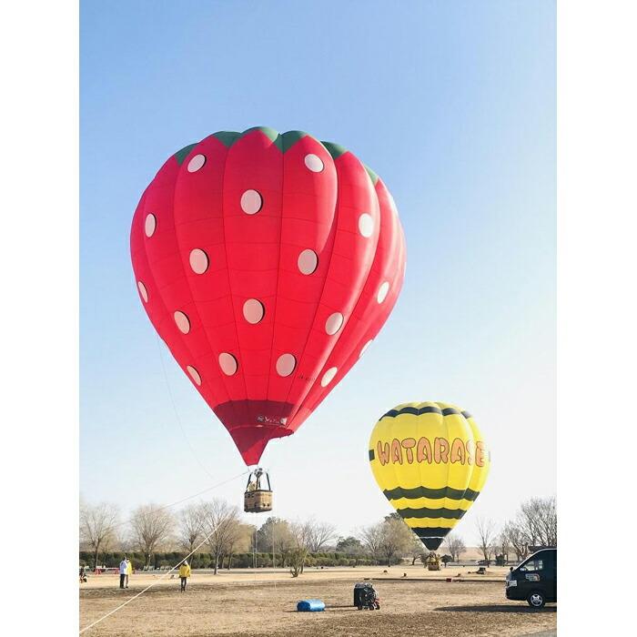 熱気球搭乗体験（係留フライト）【券 人気 おすすめ 】