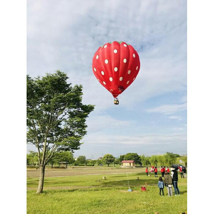 【ふるさと納税】熱気球搭乗体験（係留フライト）【券 人気 おすすめ 】 - 画像2