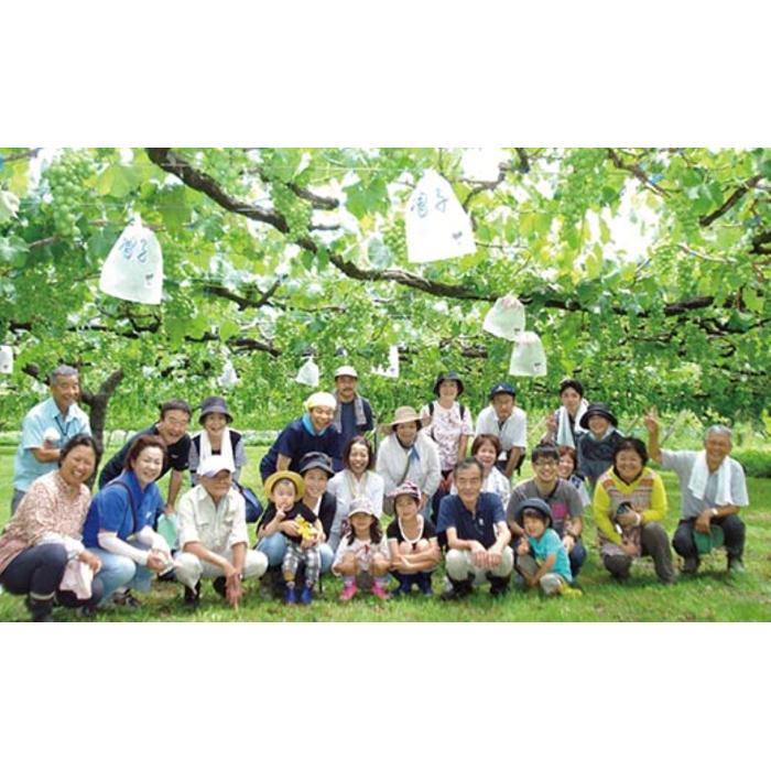 七ふしぎ農業体験（7品）【券 人気 おすすめ 】