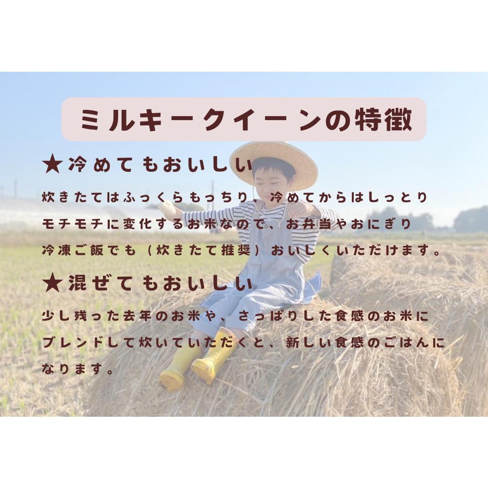 【ふるさと納税】【令和7年産】栃木市岩舟町産ミルキークイーン10kg【精米】米　ミルキー　農家直送　産地直送　 - 画像2