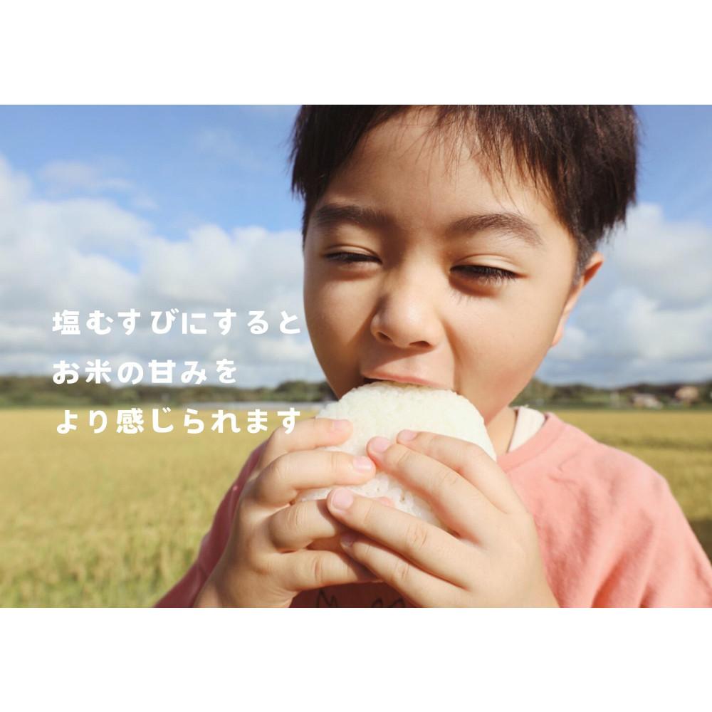 【ふるさと納税】【令和7年産】栃木市岩舟町産ミルキークイーン10kg【精米】米　ミルキー　農家直送　産地直送　 - 画像3