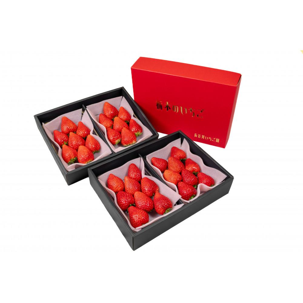 甘くて大きい！長谷川いちご園 スカイベリー ＆ とちあいか セット 計4パック | 果物 フルーツ いちご 栃木 ブランド 栃木県【フルーツ 果物 くだもの 食品 人気 おすすめ 】