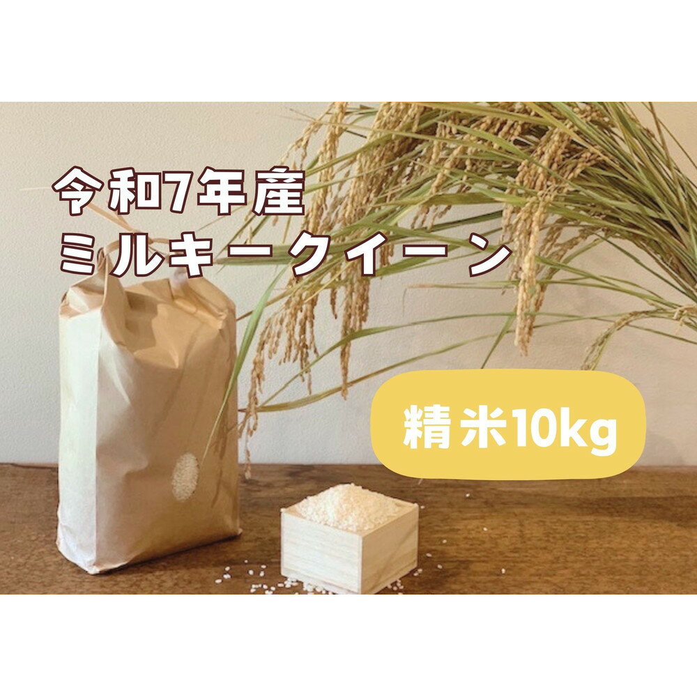 【令和7年産】栃木市岩舟町産ミルキークイーン10kg【精米】米　ミルキー　農家直送　産地直送