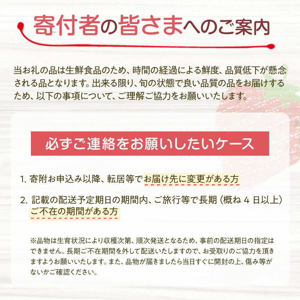【ふるさと納税】【先行予約受付】≪2026年2月発送≫【数量限定！】「完熟 朝摘み」原宿ベリー 約250g×2パック | いちご イチゴ 栃木【フルーツ 果物 くだもの 食品 人気 おすすめ 】 サムネイル2