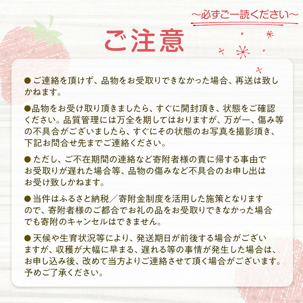 【ふるさと納税】【先行予約受付】≪2026年2月発送≫【数量限定！】「完熟 朝摘み」原宿ベリー 約250g×2パック | いちご イチゴ 栃木【フルーツ 果物 くだもの 食品 人気 おすすめ 】 サムネイル3
