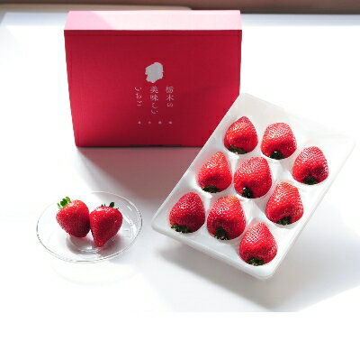 超厳選 大粒『とちあいか』(450g×2パック)_ いちご イチゴ 苺 フルーツ 果物 とちあいか 栃木県 大粒 甘い 美味しい 人気 ギフト 贈答 送料無料 【1239315】