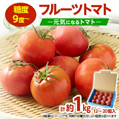 佐野市 元気になるトマト【フルーツトマト】【1270969】