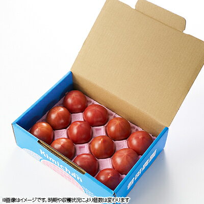 【ふるさと納税】佐野市 元気になるトマト【フルーツトマト】【1270969】 - 画像3