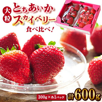 【春イチゴ】 食べ比べ!大粒『スカイベリー』、『とちあいか』300g×1パックずつ【配送不可地域：離島】【1290960】
