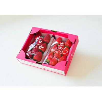 【ふるさと納税】【春イチゴ】 食べ比べ!大粒『スカイベリー』、『とちあいか』300g×1パックずつ【配送不可地域：離島】【1290960】 サムネイル2