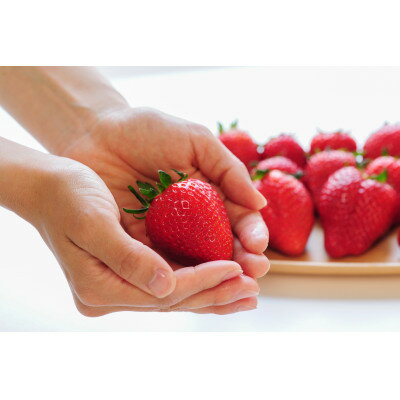 【ふるさと納税】【春イチゴ】 食べ比べ!大粒『スカイベリー』、『とちあいか』300g×1パックずつ【配送不可地域：離島】【1290960】 サムネイル3