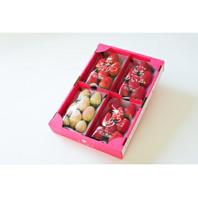 【ふるさと納税】【春いちご】栃木のいちご4種詰め合わせセット!(300g×4パック)_ いちご イチゴ 苺 フルーツ 果物 栃木県 詰め合わせ セット 甘い 美味しい 人気 ギフト 贈答 送料無料 【1290961】 サムネイル2