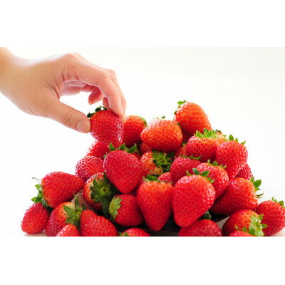 【ふるさと納税】【春いちご】栃木のいちご4種詰め合わせセット!(300g×4パック)_ いちご イチゴ 苺 フルーツ 果物 栃木県 詰め合わせ セット 甘い 美味しい 人気 ギフト 贈答 送料無料 【1290961】 サムネイル3