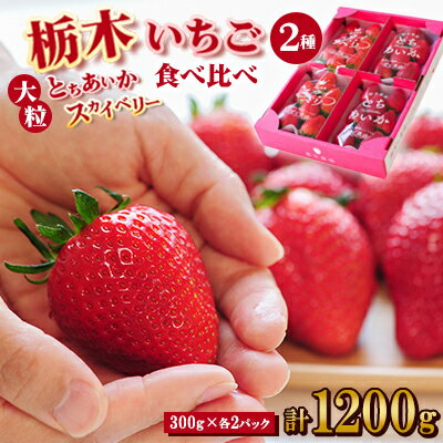 豪華!栃木イチゴ2種(スカイベリー・とちあいか)大粒 食べ比べセット (300g×4パック)_ いちご 苺 フルーツ 果物 くだもの スカイベリー とちあいか 栃木 2種 セット 人気 おすすめ 送料無料 ギフト 贈答 食べ比べ 【配送不可地域：離島・沖縄県】【1366949】