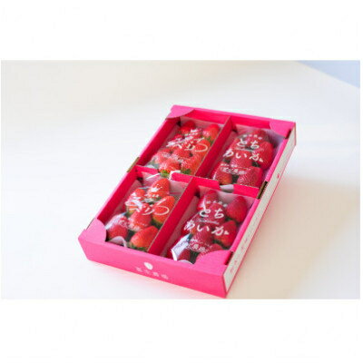 【ふるさと納税】豪華!栃木イチゴ2種(スカイベリー・とちあいか)大粒 食べ比べセット (300g×4パック)_ いちご 苺 フルーツ 果物 くだもの スカイベリー とちあいか 栃木 2種 セット 人気 おすすめ 送料無料 ギフト 贈答 食べ比べ 【配送不可地域：離島・沖縄県】【1366949】 サムネイル3