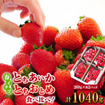 いちご生産量日本一栃木産　春イチゴ『とちおとめ』『とちあいか』 (260g×4パック)食べ比べセット_ いちご 苺 とちおとめ とちあいか セット 食べ比べ 人気 おすすめ 送料無料 贈答 ギフト 栃木 佐野 冷蔵 春いちご 【配送不可地域：離島】【1489767】