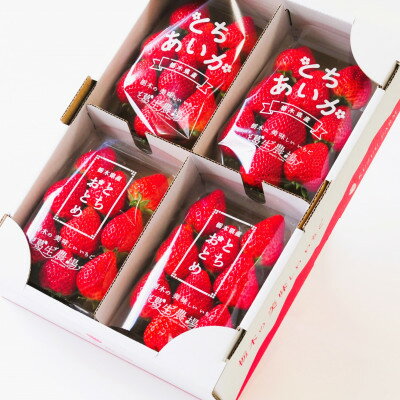 【ふるさと納税】いちご生産量日本一栃木産　春イチゴ『とちおとめ』『とちあいか』 (260g×4パック)食べ比べセット_ いちご 苺 とちおとめ とちあいか セット 食べ比べ 人気 おすすめ 送料無料 贈答 ギフト 栃木 佐野 冷蔵 春いちご 【配送不可地域：離島】【1489767】 サムネイル2