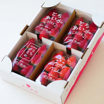 【春イチゴ】「2品種以上組み合わせ!」食べ比べセット(260g×4パック)【配送不可地域：離島】【1589308】