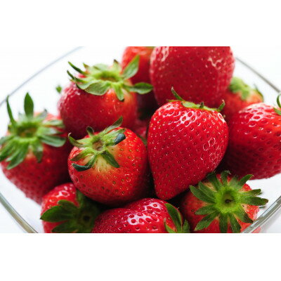 栃木のいちご食べ比べ!「2品種以上組み合わせ!」セット(260g×4パック)【配送不可地域：離島】【1616772】