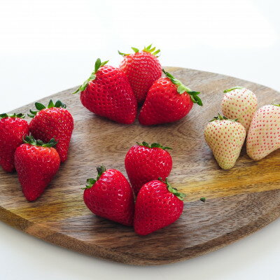 【ふるさと納税】栃木のいちご食べ比べ!「2品種以上組み合わせ!」セット(260g×4パック)【配送不可地域：離島】【1616772】 サムネイル2