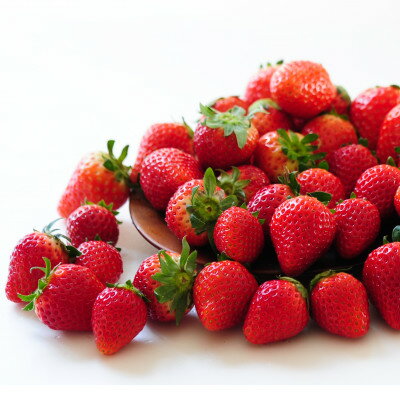 『葛生農場』栃木の新品種『とちあいか』(260g×2パック)【配送不可地域：離島】【1642092】