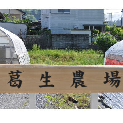 【ふるさと納税】『葛生農場』栃木の新品種『とちあいか』(260g×2パック)【配送不可地域：離島】【1642092】 サムネイル3