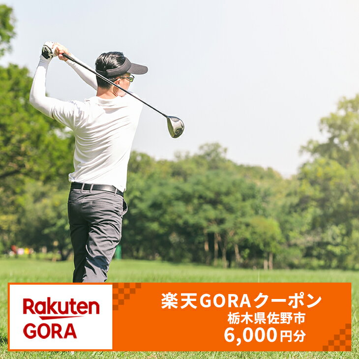 栃木県佐野市の対象ゴルフ場で使える楽天GORAクーポン 寄付額20,000円（クーポン額6,000円）