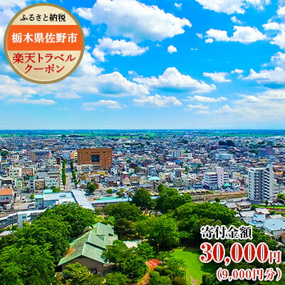 栃木県佐野市の対象施設で使える楽天トラベルクーポン寄付額30,000円