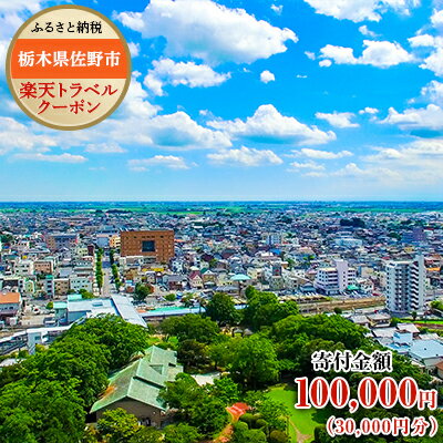 栃木県佐野市の対象施設で使える楽天トラベルクーポン寄付額100,000円