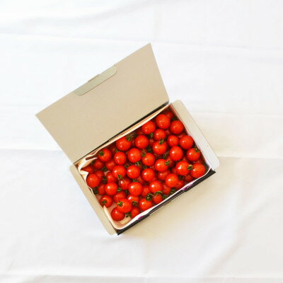 【ふるさと納税】栃纏丸(とまとまる)1kg【配送不可地域：離島・沖縄県】【1392799】 - 画像2