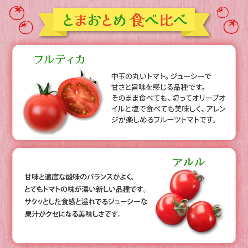 【ふるさと納税】栃木県 鹿沼産 高糖度 フルーツトマト ”とまおとめ” 食べ比べ 1kg ｜ マト カキヌマファーム アイコ フルティカ アルル イエローアイコ 濃厚 入手困難 贈り物 栃木県 鹿沼市 ※2025年12月下旬～2026年6月上旬頃に順次発送予定 - 画像3