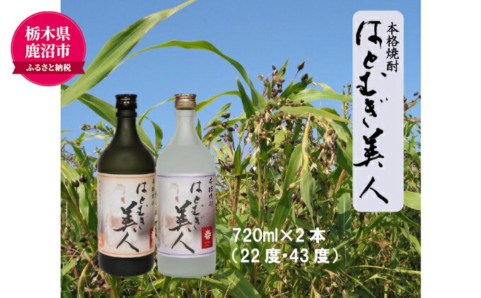 【ふるさと納税】【栃木県 鹿沼市産】 本格焼酎 はとむぎ 美人 2本セット（22度・43度）各720ml×2本 酒 焼酎 麦 酒 米焼酎 お酒 サムネイル2