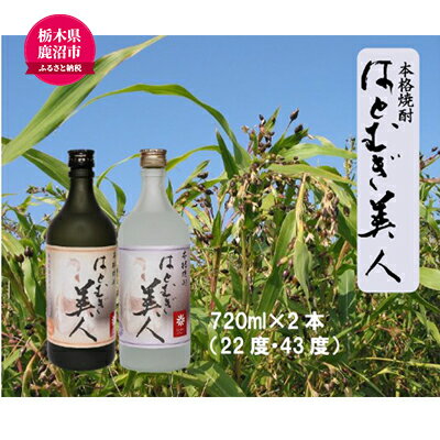 【栃木県 鹿沼市産】 本格焼酎 はとむぎ 美人 2本セット（22度・43度）各720ml×2本 酒 焼酎 麦 酒 米焼酎 お酒