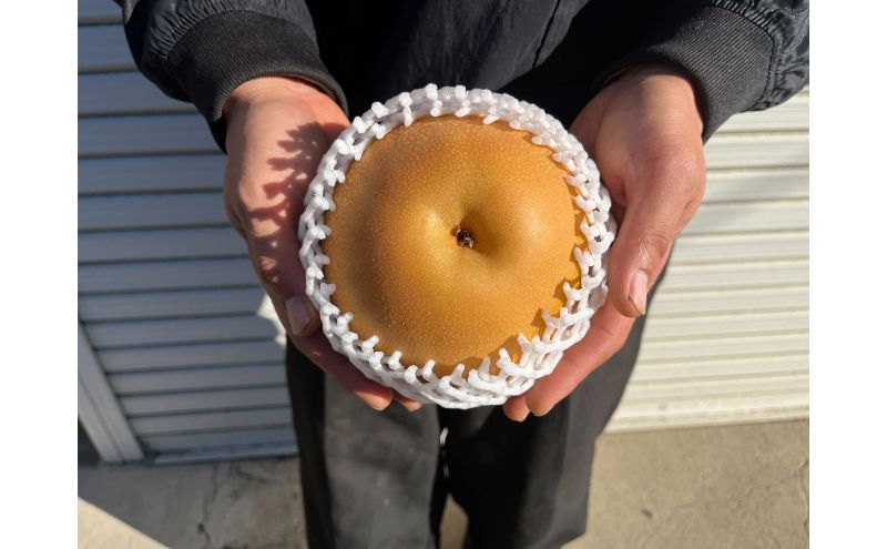 【ふるさと納税】【先行予約】梨(にっこり) 2玉入り×1箱 (内容量1玉900g以上) ※2025年10月上旬～11月下旬頃に順次発送予定 サムネイル2